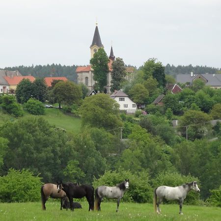 Hostinec U Janatu S Ubytovanim Cestin Экстерьер фото