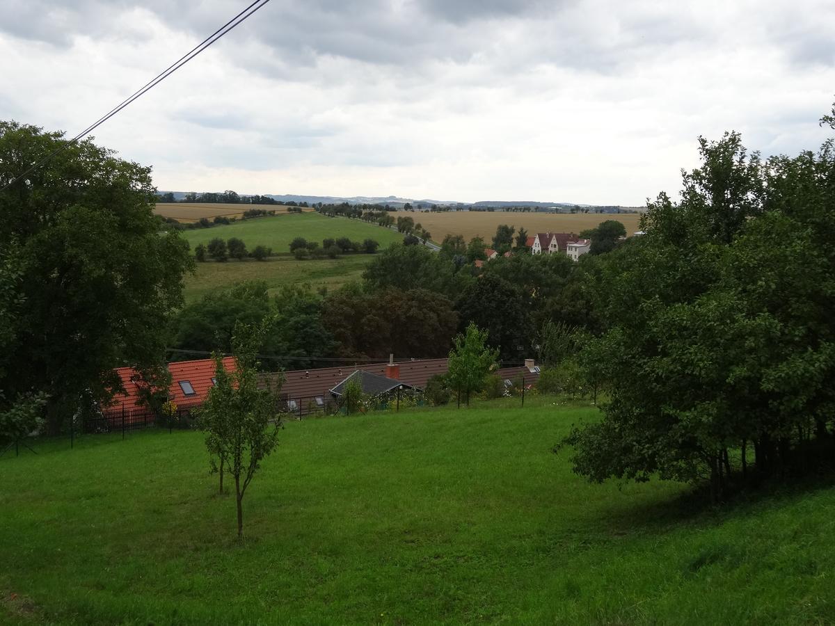 Hostinec U Janatu S Ubytovanim Cestin Экстерьер фото